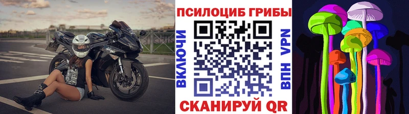 Галлюциногенные грибы Psilocybe  где найти   Родники 