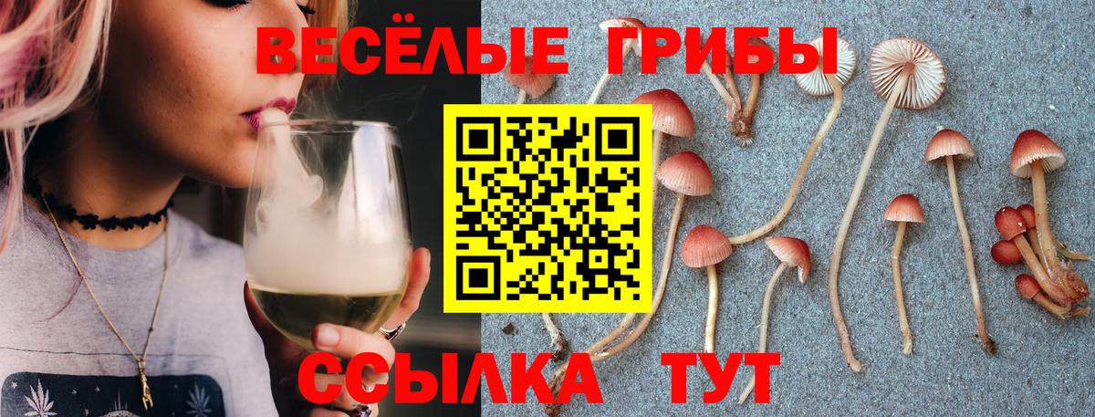 наркотики  Псилоцибиновые грибы ЛСД  Родники  Вход с VPN  Галлюциногенные грибы MAGIC MUSHROOMS 