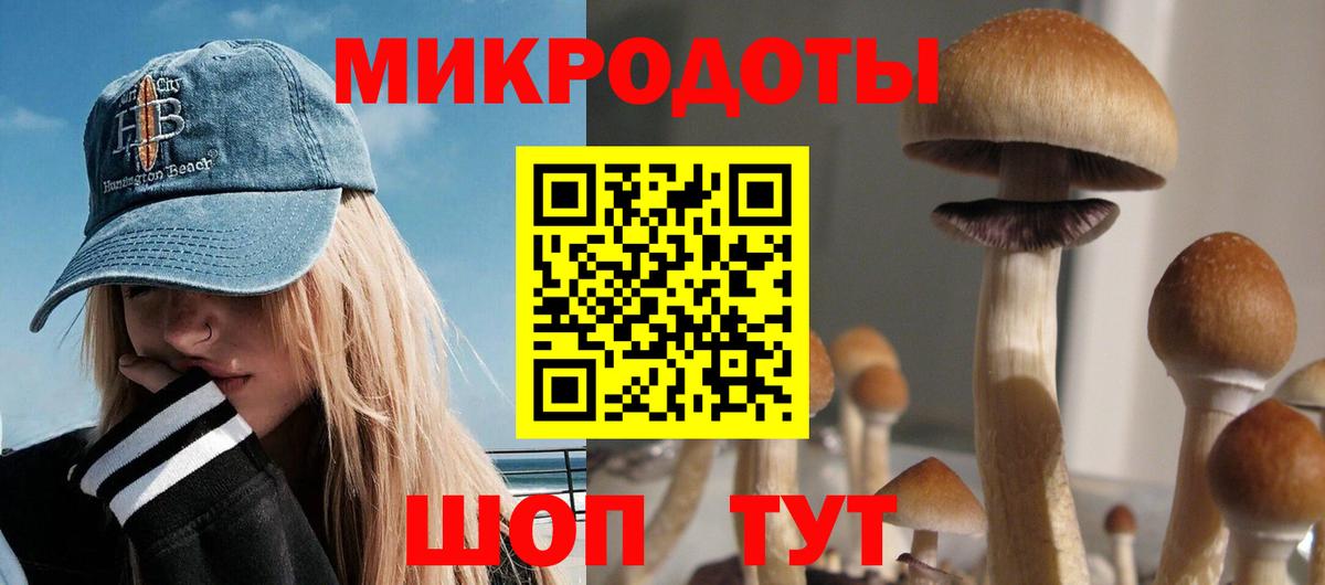 Псилоцибиновые грибы прущие грибы Родники